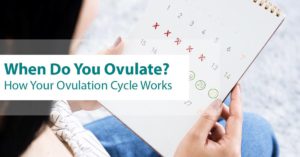 Ovulation Cycle 300x157 